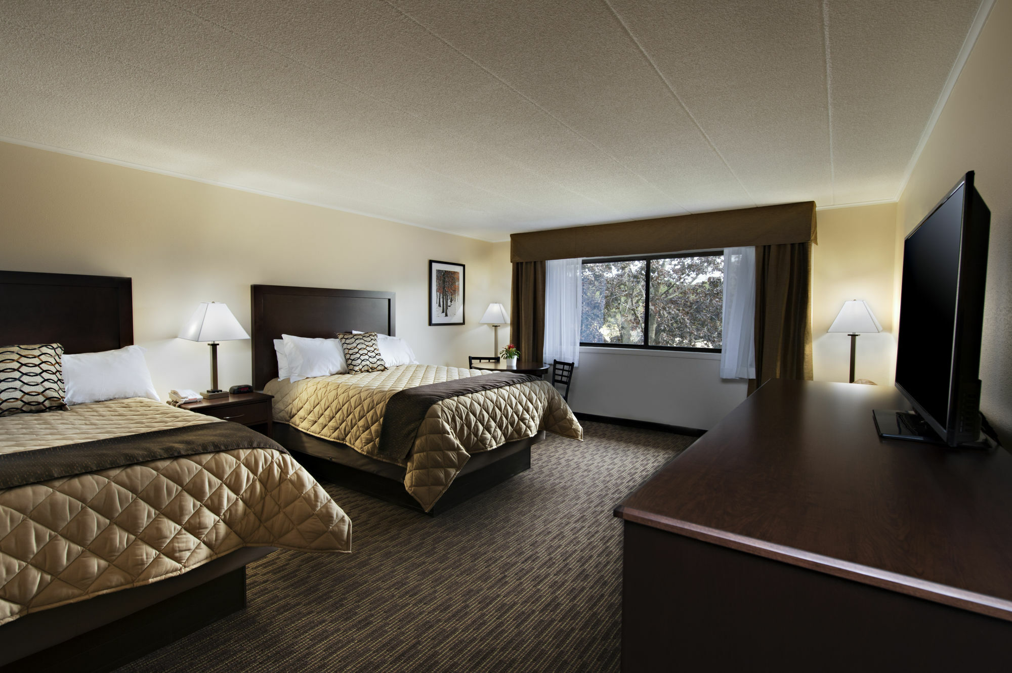 Chestnut Mountain Resort กาลีนา ภายนอก รูปภาพ