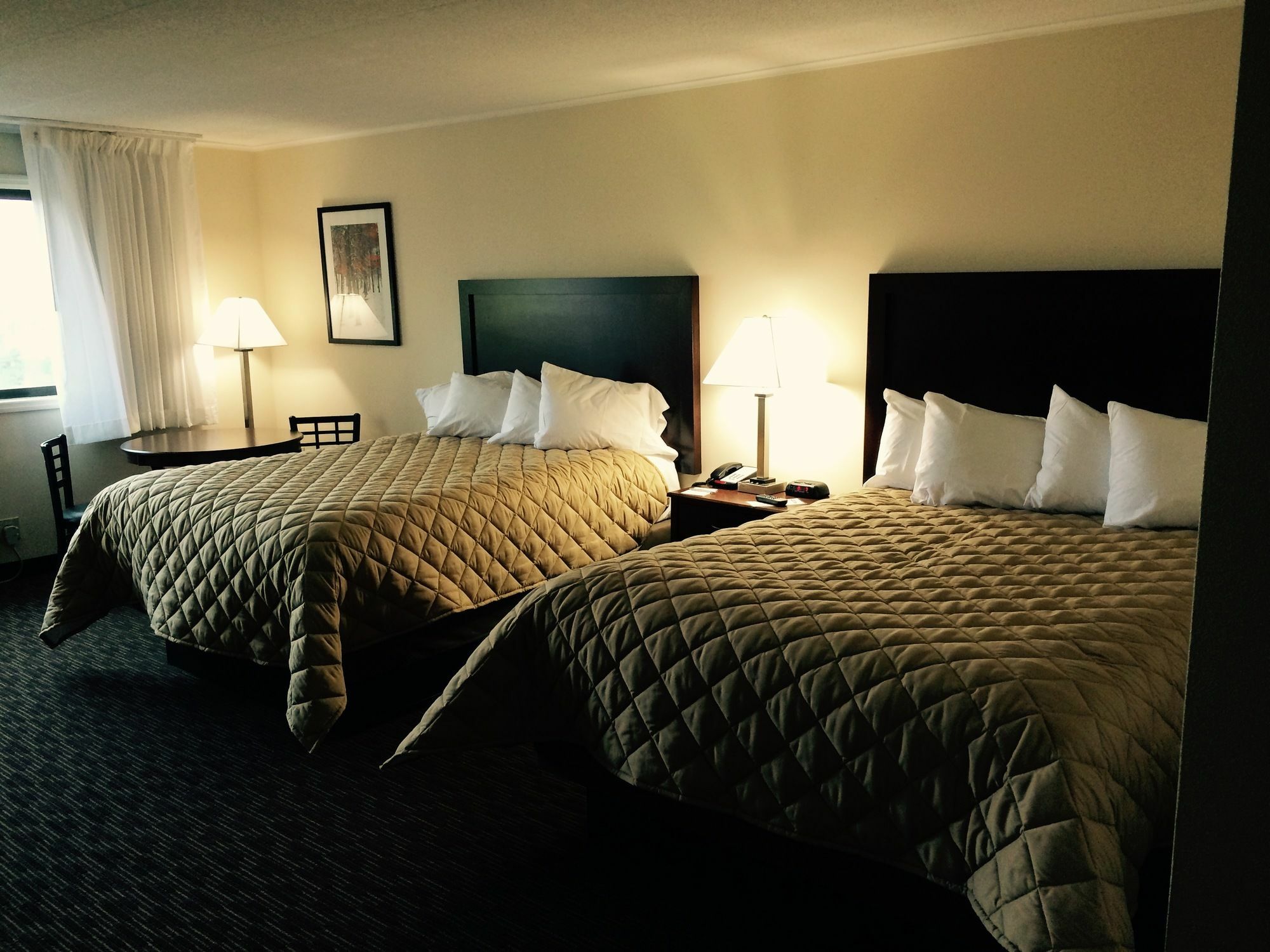 Chestnut Mountain Resort กาลีนา ภายนอก รูปภาพ